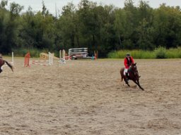 img_9603-pano_web